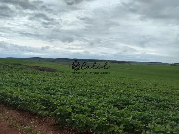Fazenda, 483 hectares - Foto 20