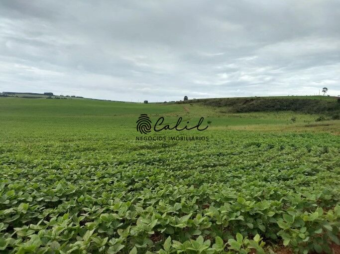 Fazenda, 483 hectares - Foto 17