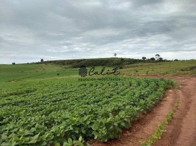 Fazenda, 483 hectares - Foto 18