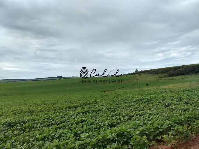 Fazenda, 483 hectares - Foto 15