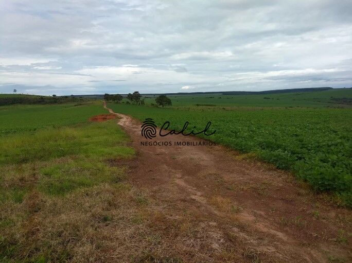 Fazenda, 483 hectares - Foto 9