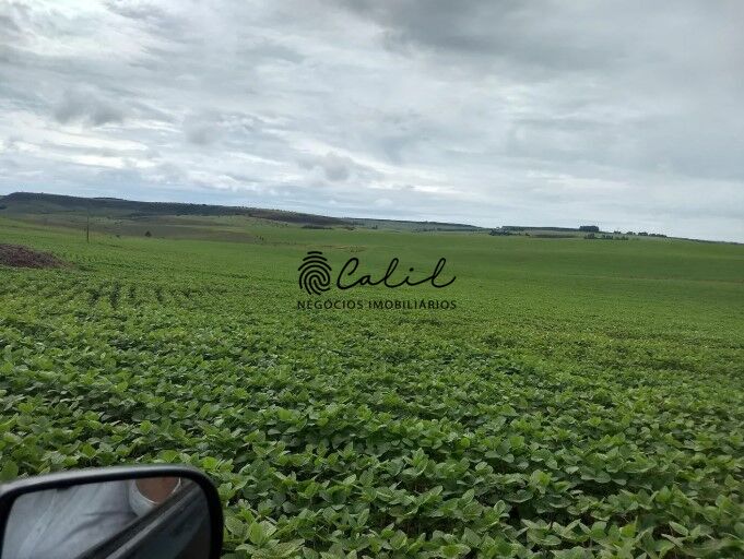 Fazenda, 483 hectares - Foto 12
