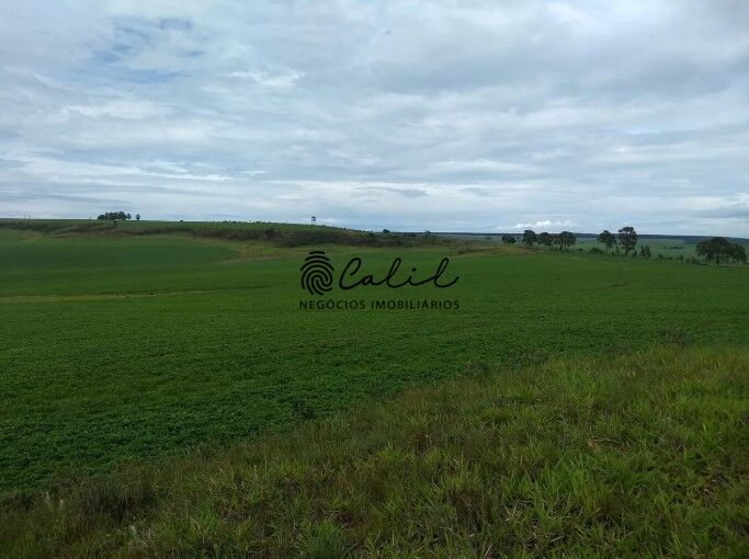 Fazenda, 483 hectares - Foto 8