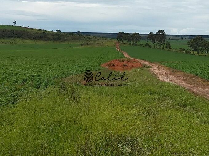 Fazenda, 483 hectares - Foto 14