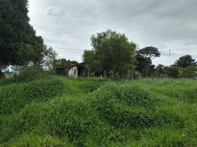 Fazenda, 483 hectares - Foto 6
