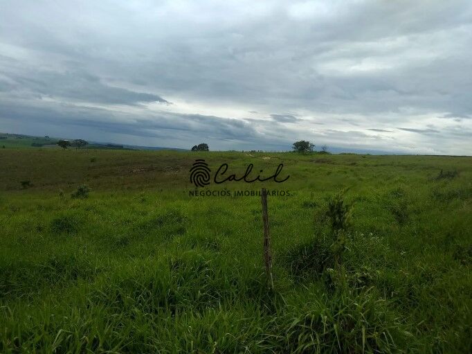 Fazenda, 483 hectares - Foto 16