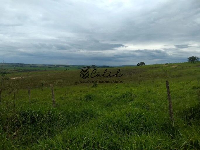 Fazenda, 483 hectares - Foto 19