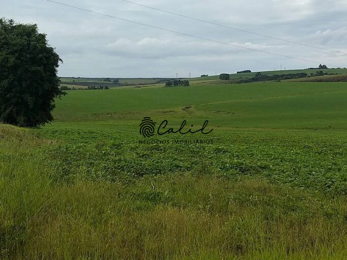 Fazenda, 483 hectares - Foto 13