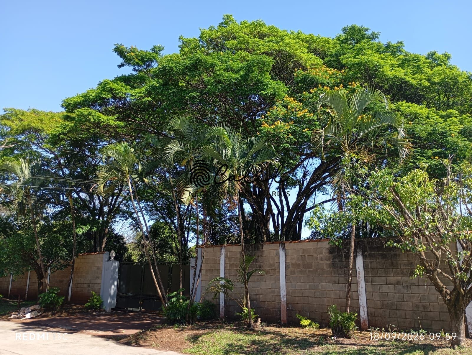 Chácara, 3 quartos, 3000 m² - Foto 35