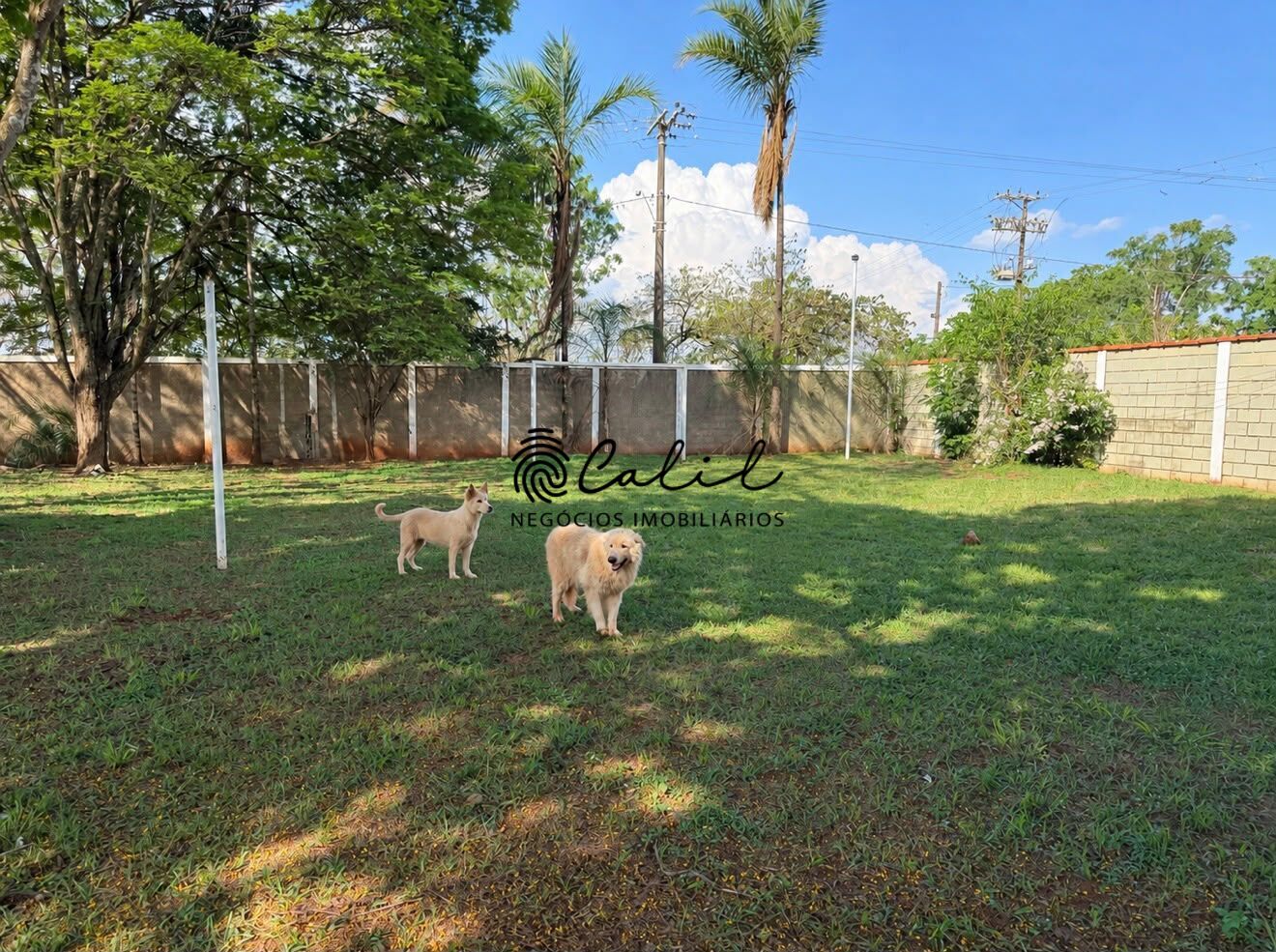 Chácara, 3 quartos, 3000 m² - Foto 14