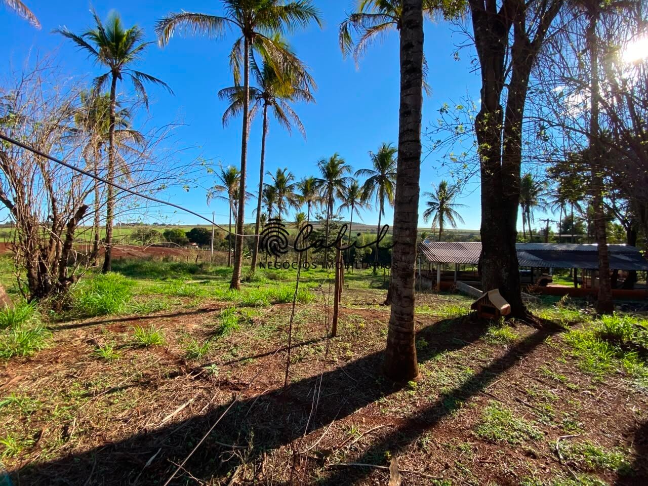 Sítio, 3 quartos, 4 hectares - Foto 10