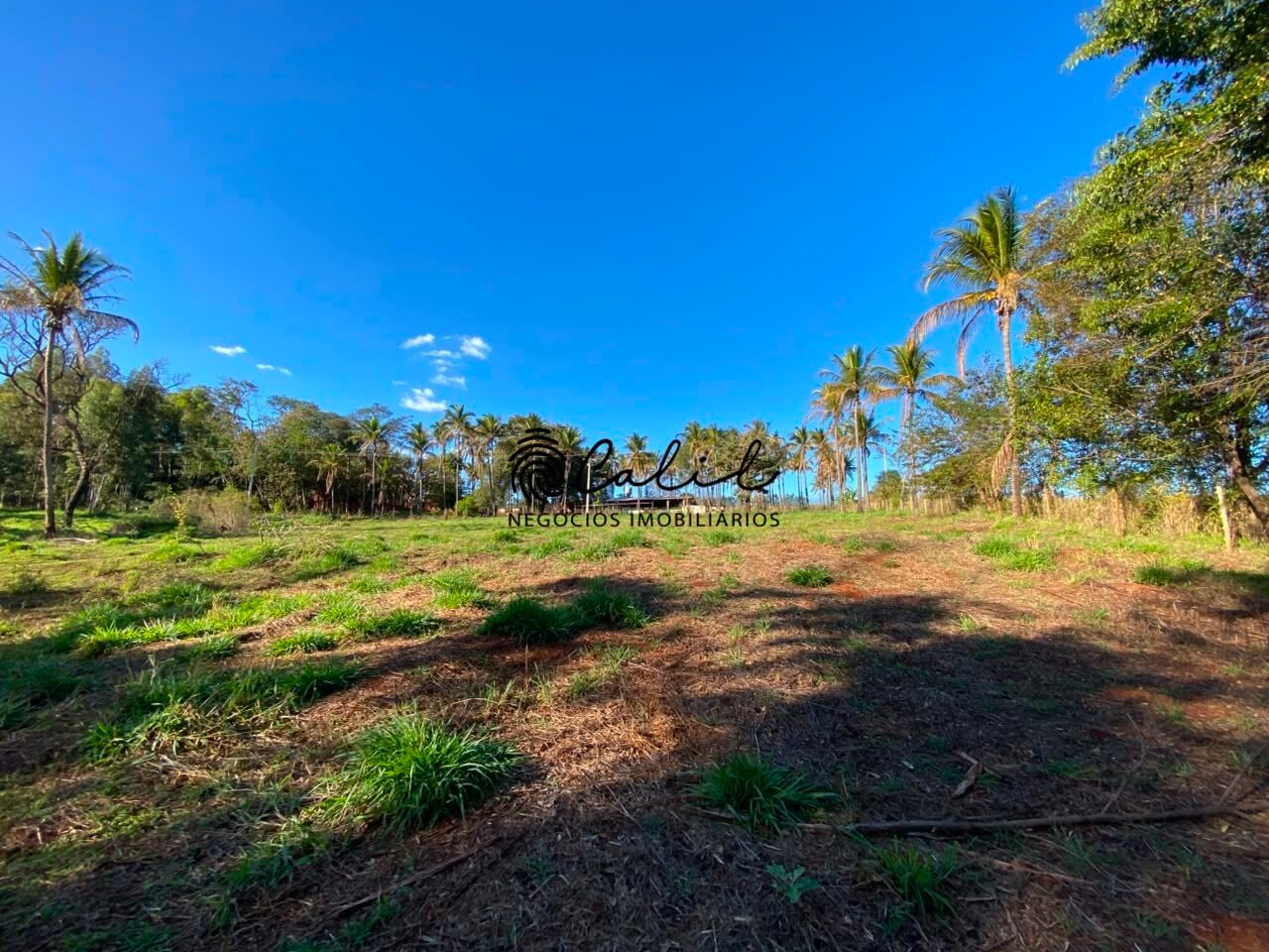 Sítio, 3 quartos, 4 hectares - Foto 46