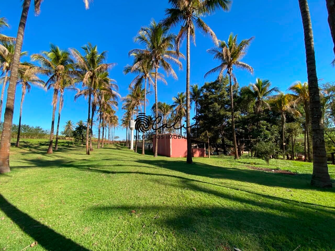 Sítio, 3 quartos, 4 hectares - Foto 4