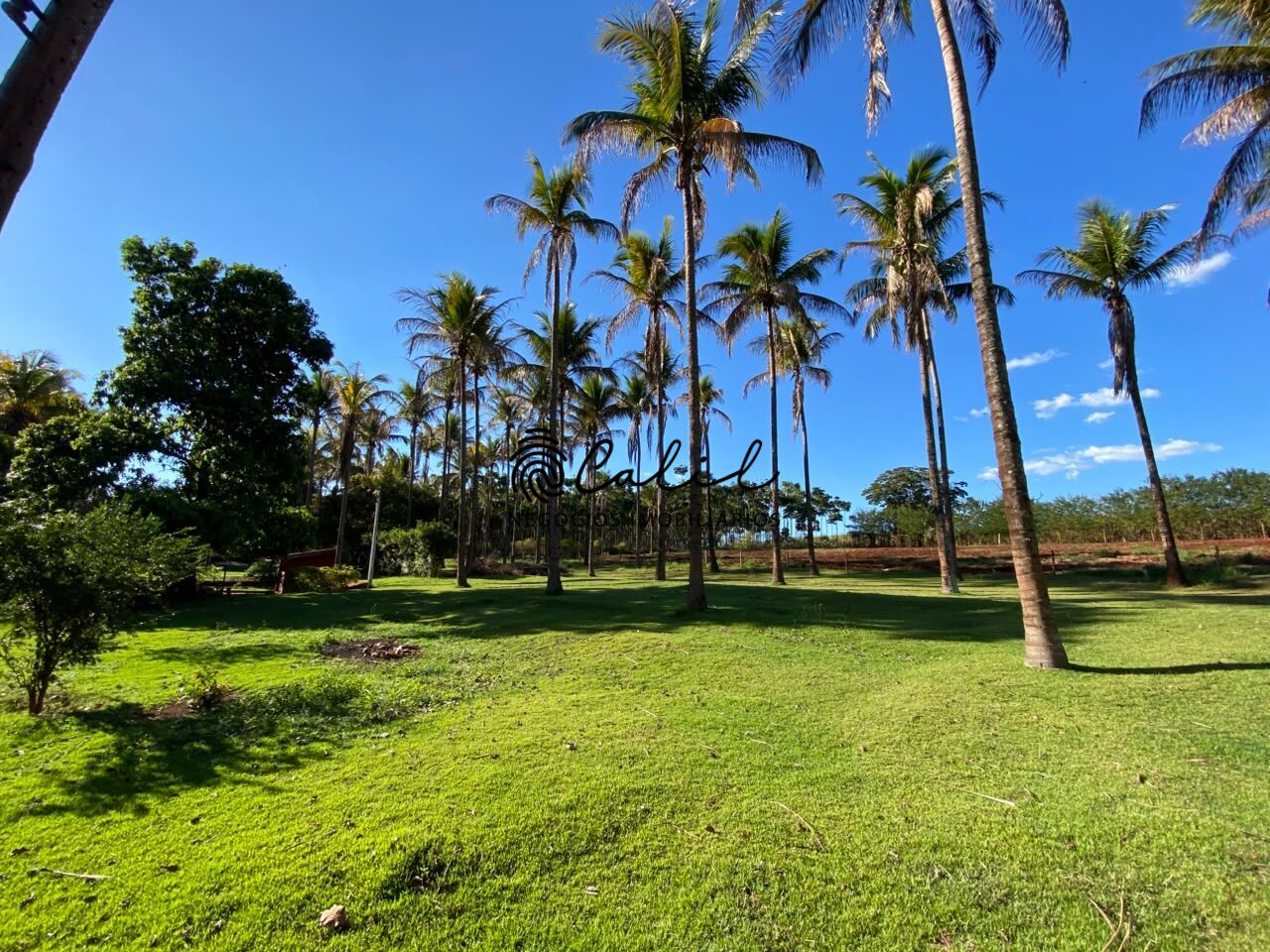 Sítio, 3 quartos, 4 hectares - Foto 42