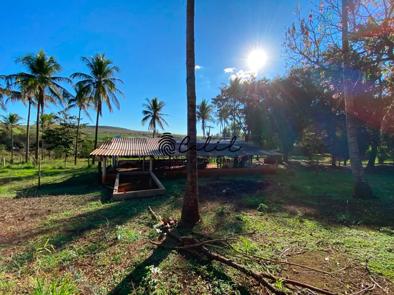 Sítio, 3 quartos, 4 hectares - Foto 11