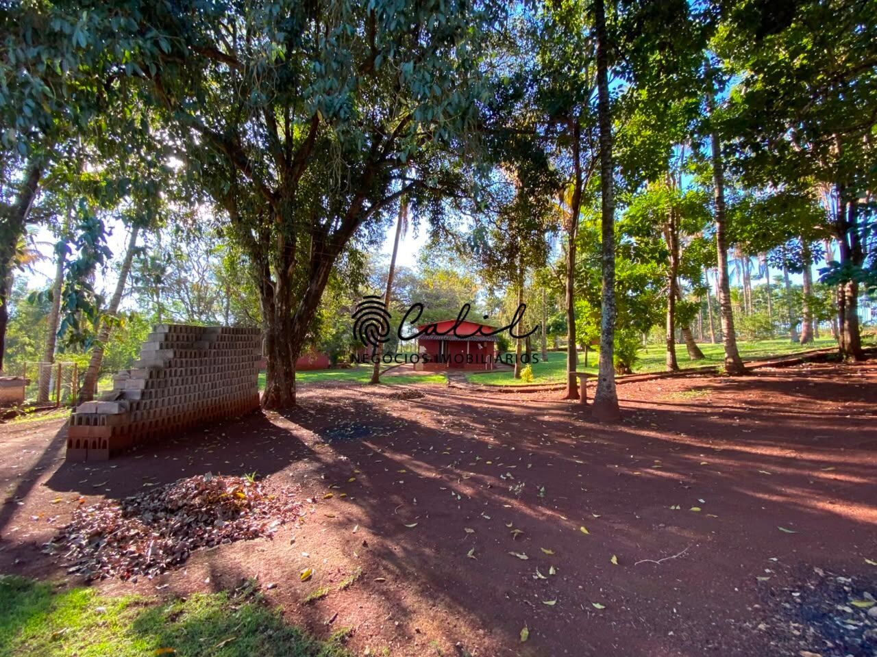 Sítio, 3 quartos, 4 hectares - Foto 15