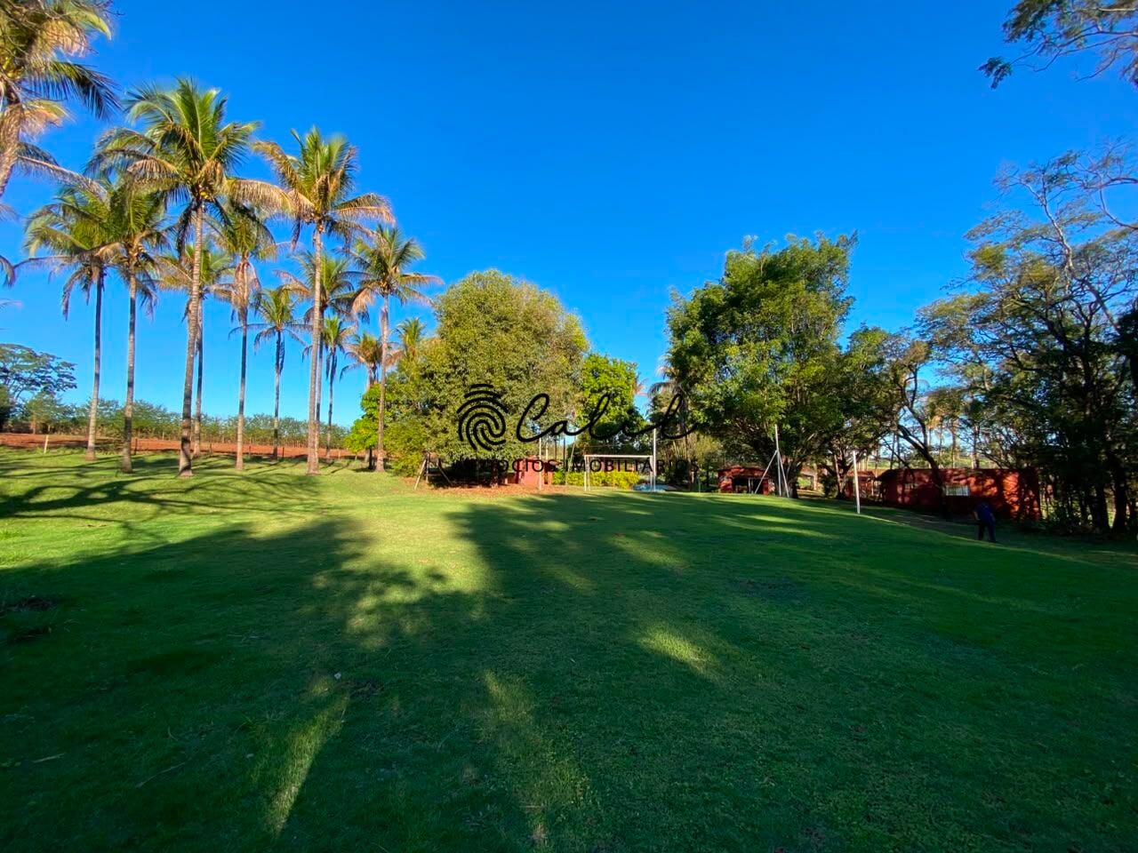 Sítio, 3 quartos, 4 hectares - Foto 33