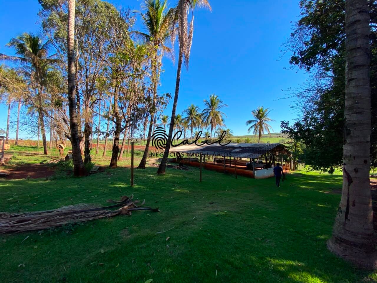Sítio, 3 quartos, 4 hectares - Foto 12