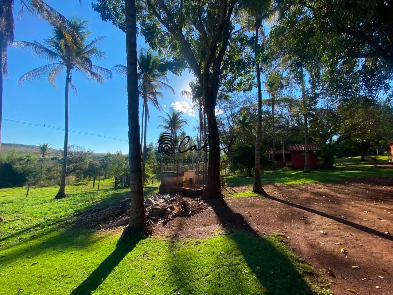 Sítio, 3 quartos, 4 hectares - Foto 43