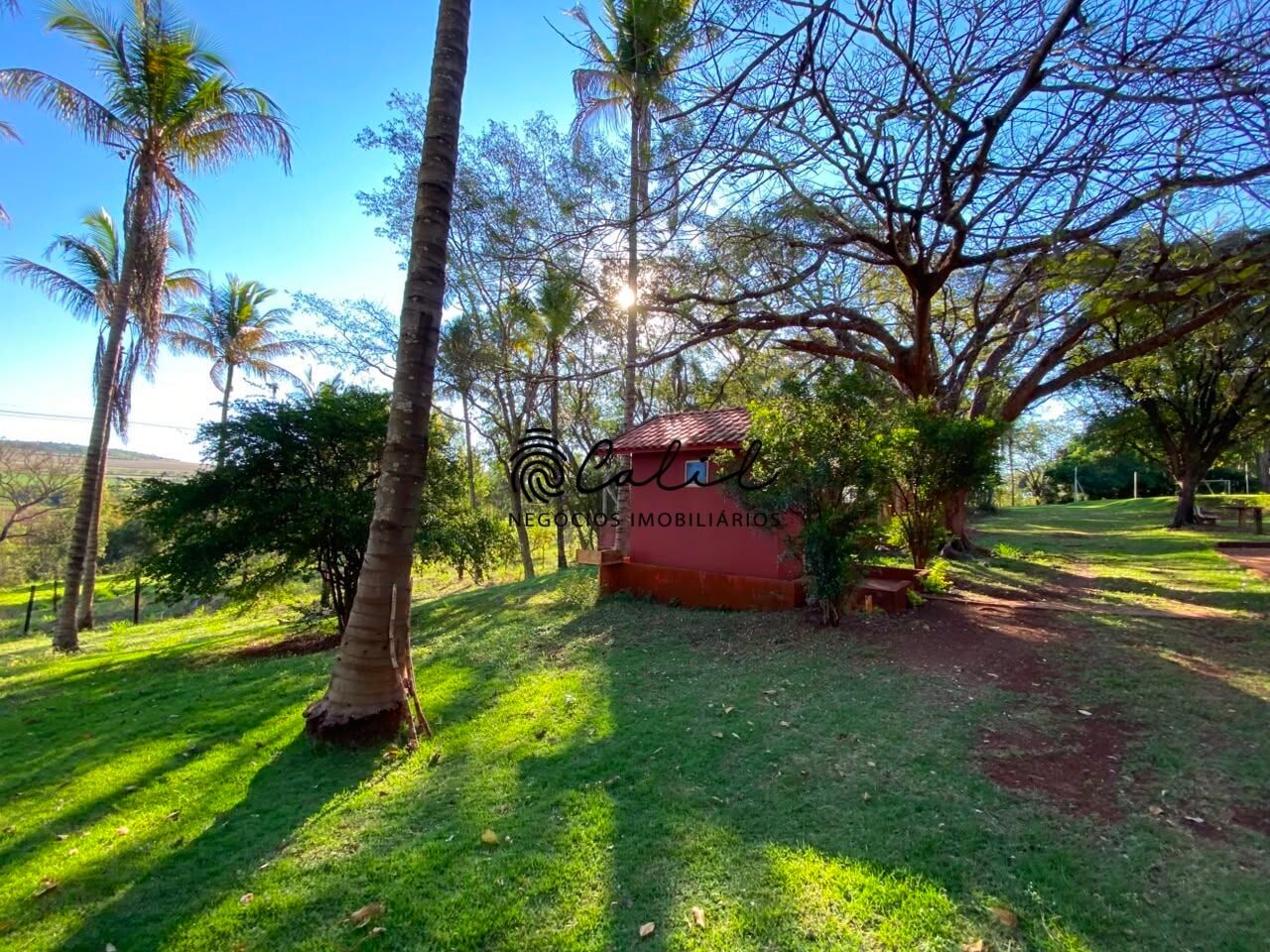 Sítio, 3 quartos, 4 hectares - Foto 37