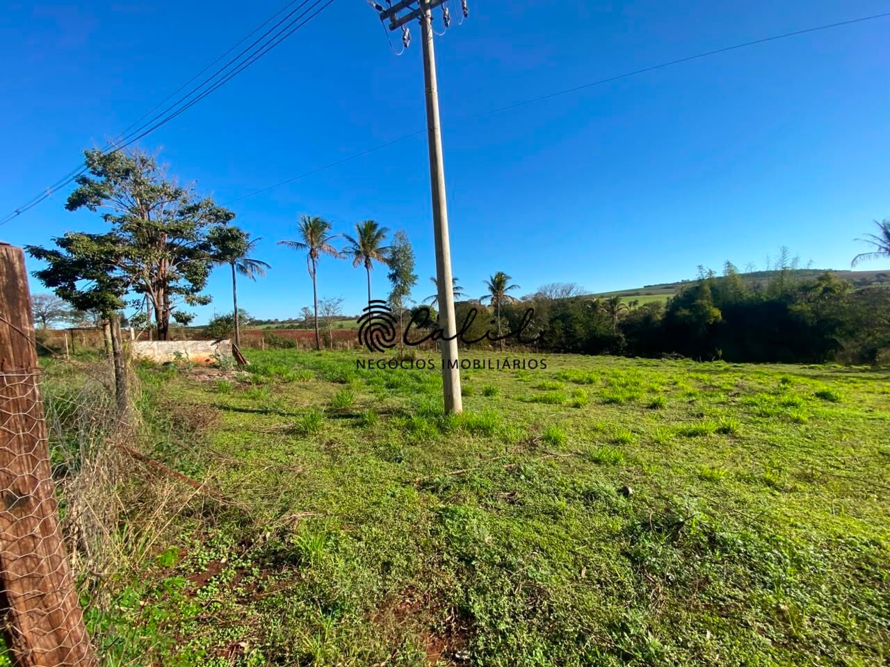Sítio, 3 quartos, 4 hectares - Foto 44