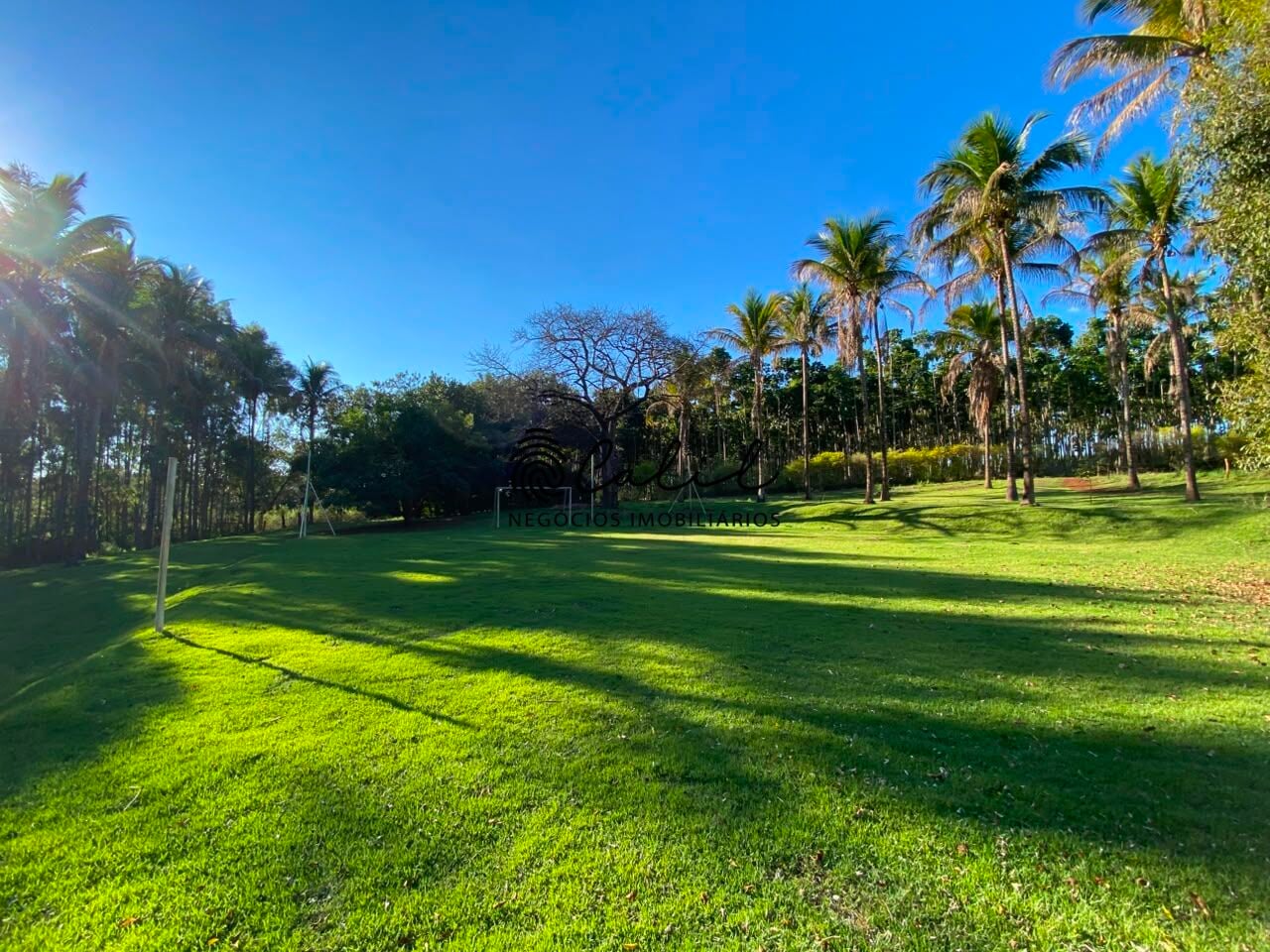 Sítio, 3 quartos, 4 hectares - Foto 32