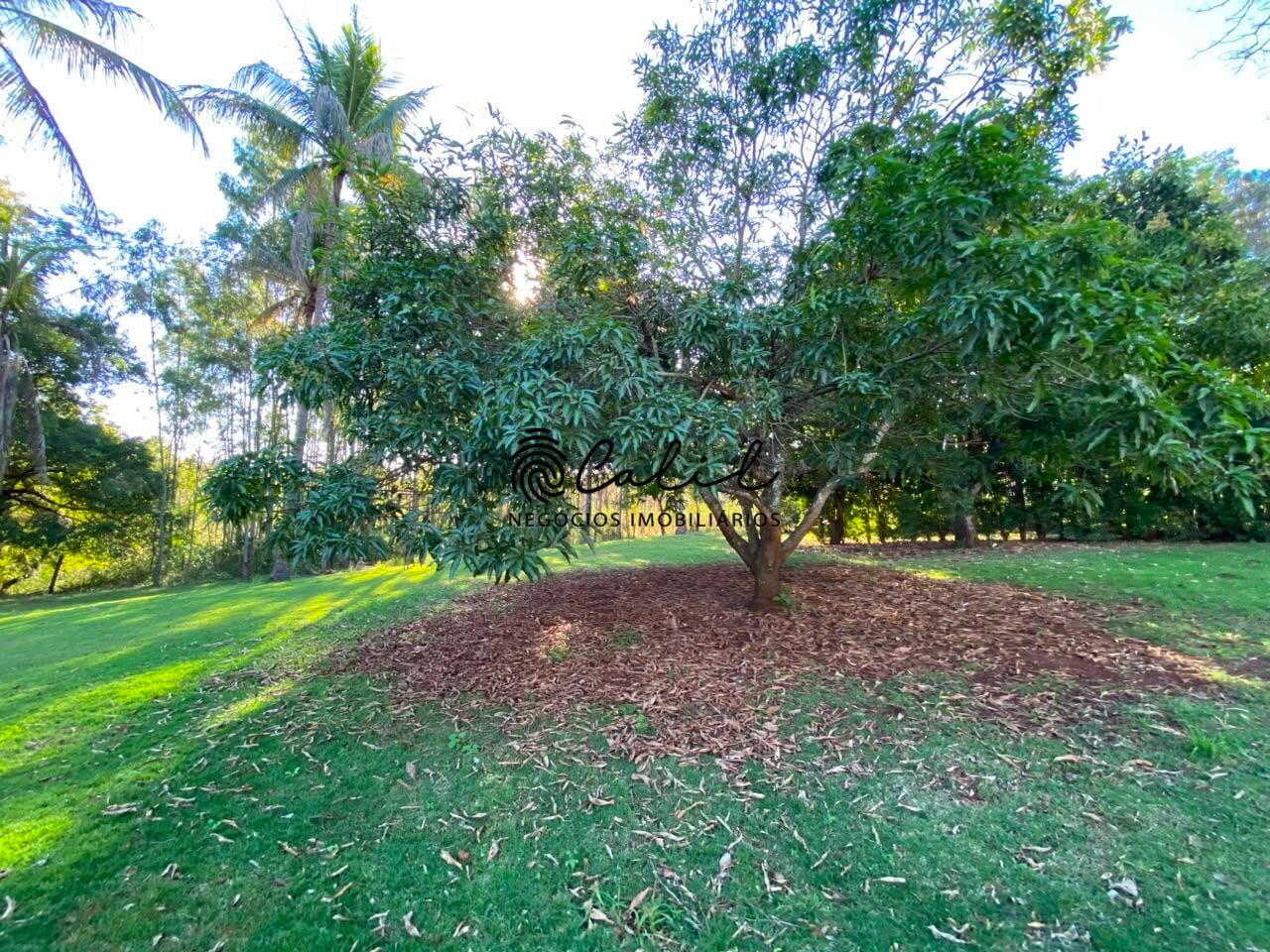 Sítio, 3 quartos, 4 hectares - Foto 41