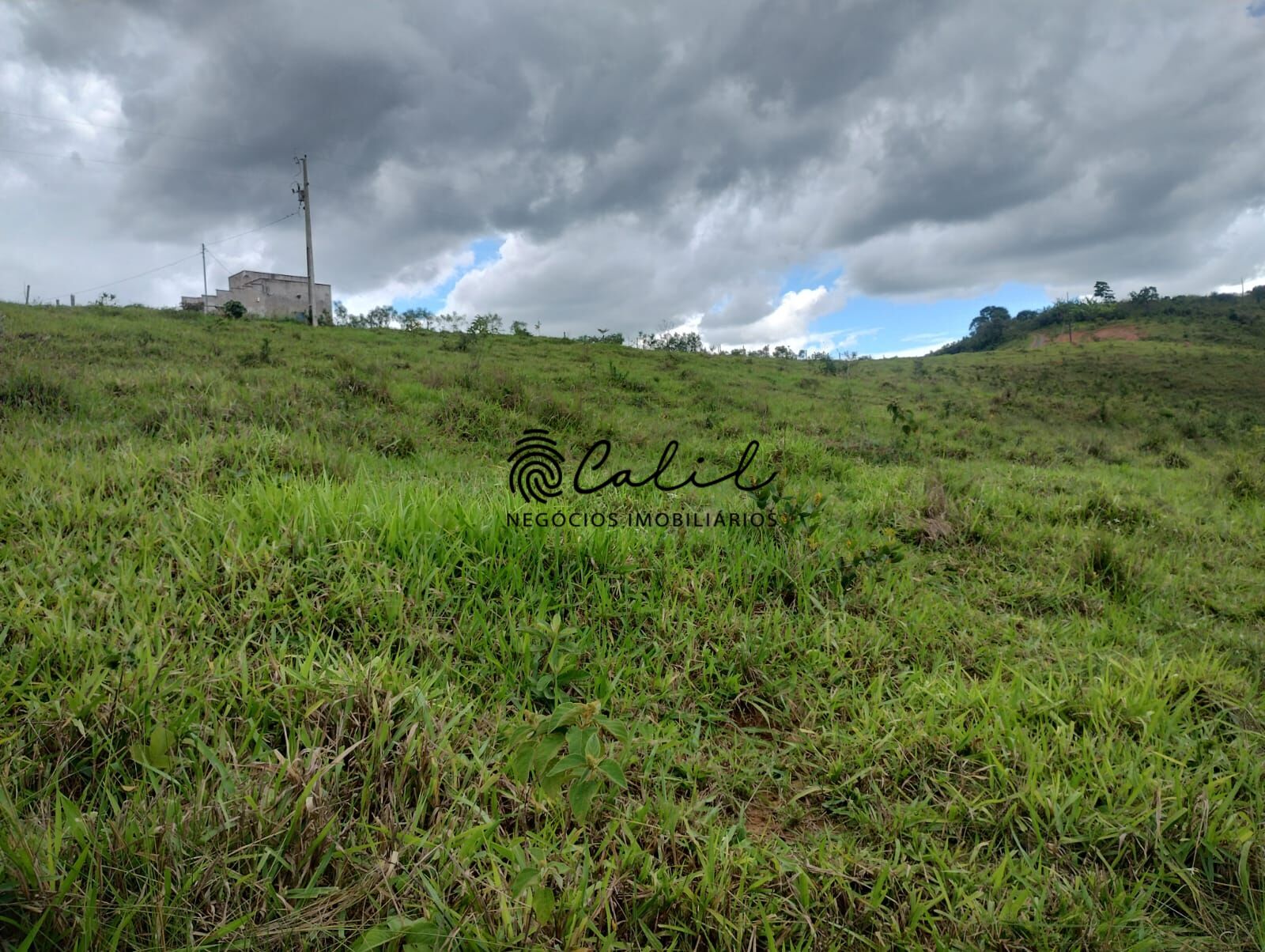 Fazenda, 75 hectares - Foto 3