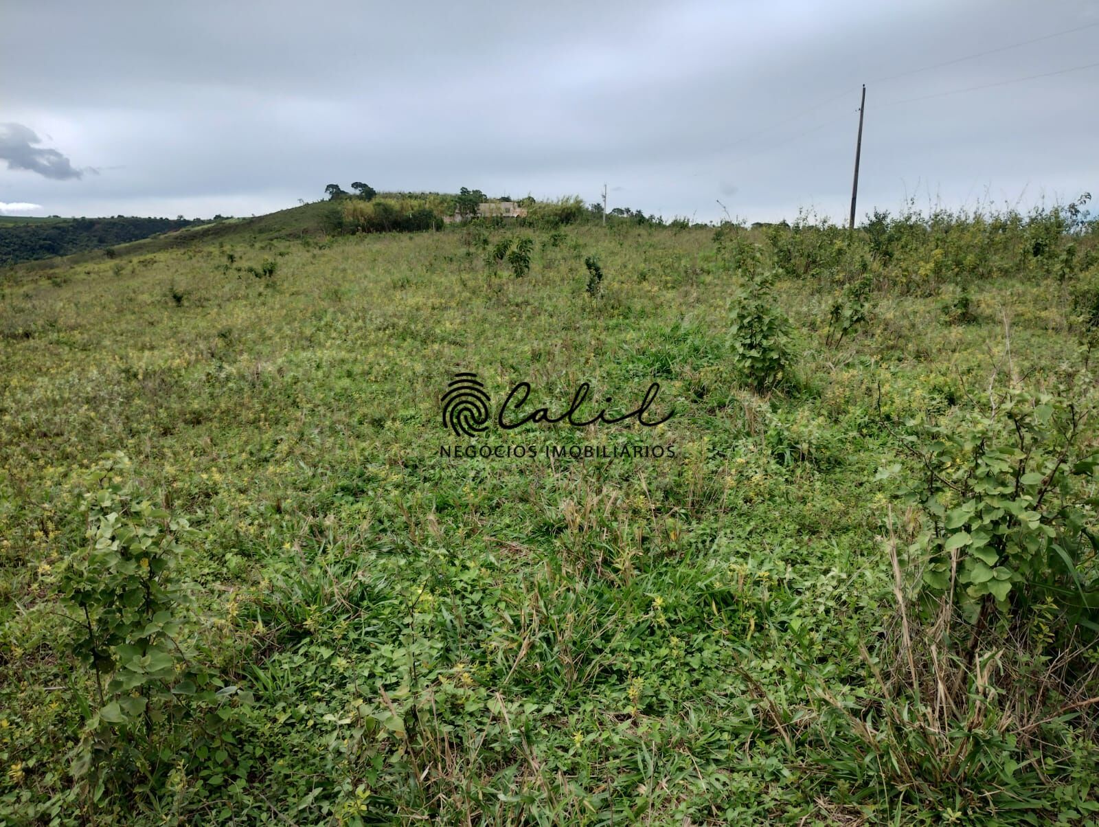 Fazenda, 75 hectares - Foto 5