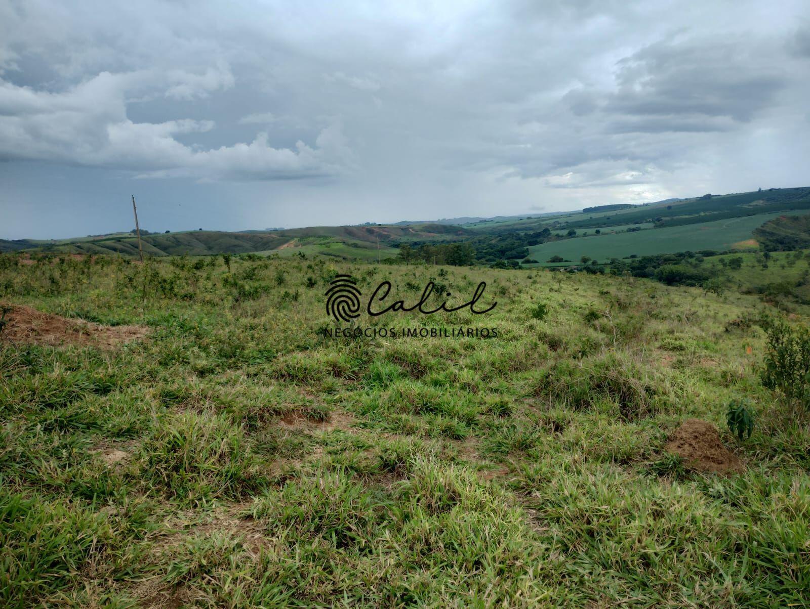 Fazenda, 75 hectares - Foto 4
