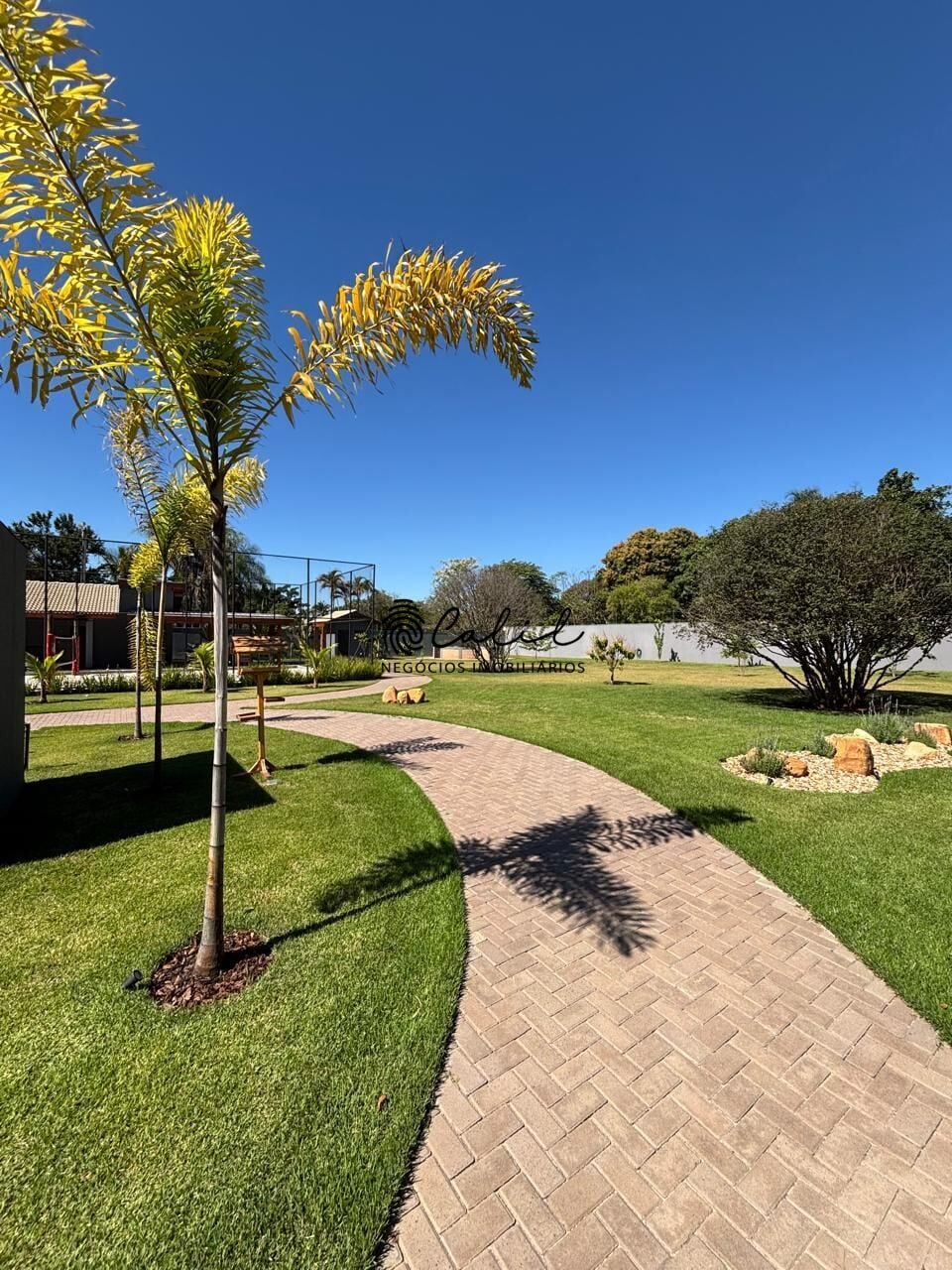 Sítio, 6 quartos, 5000 m² - Foto 32