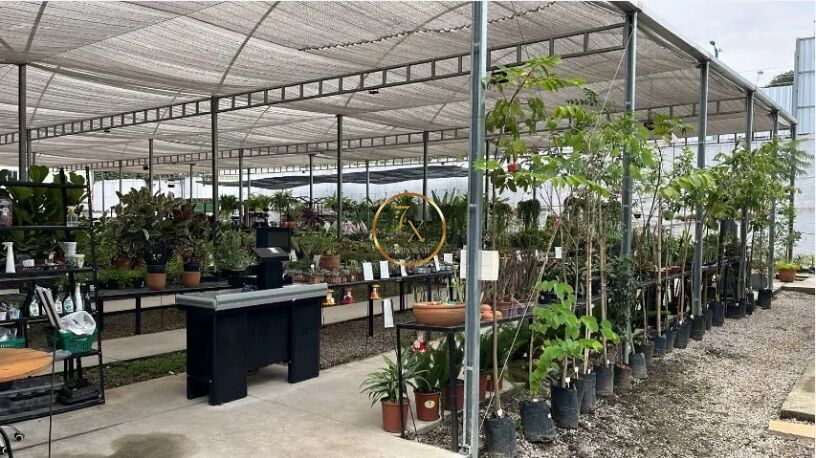 Foto 14