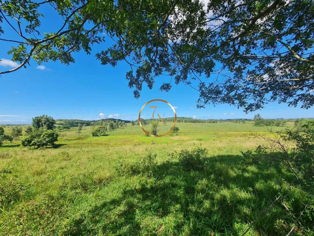 Foto 47