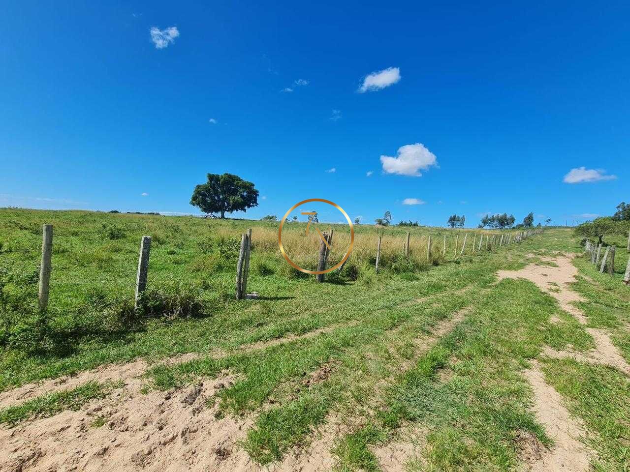 Foto 49