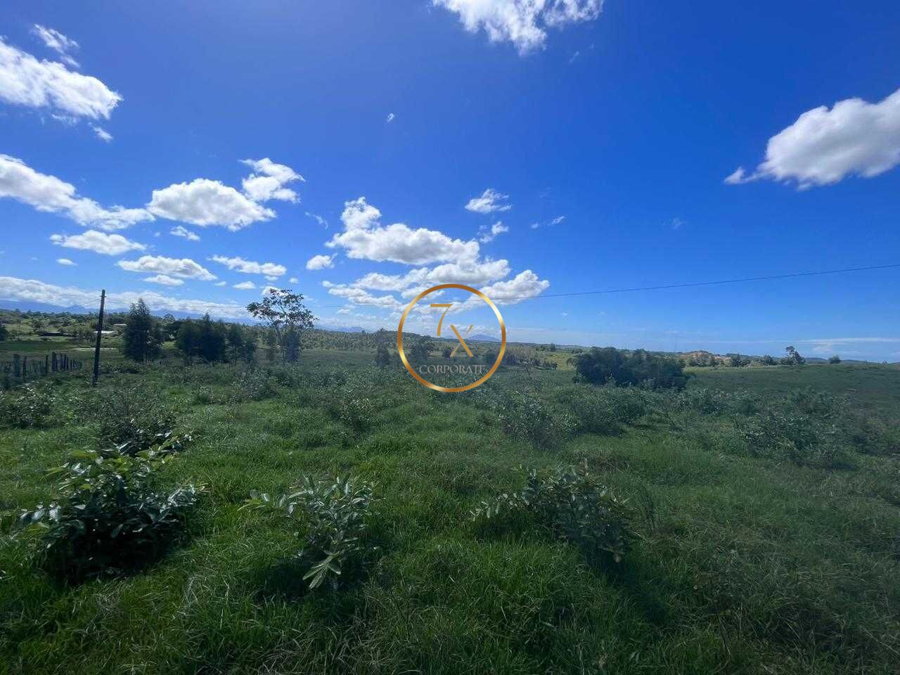 Foto 44