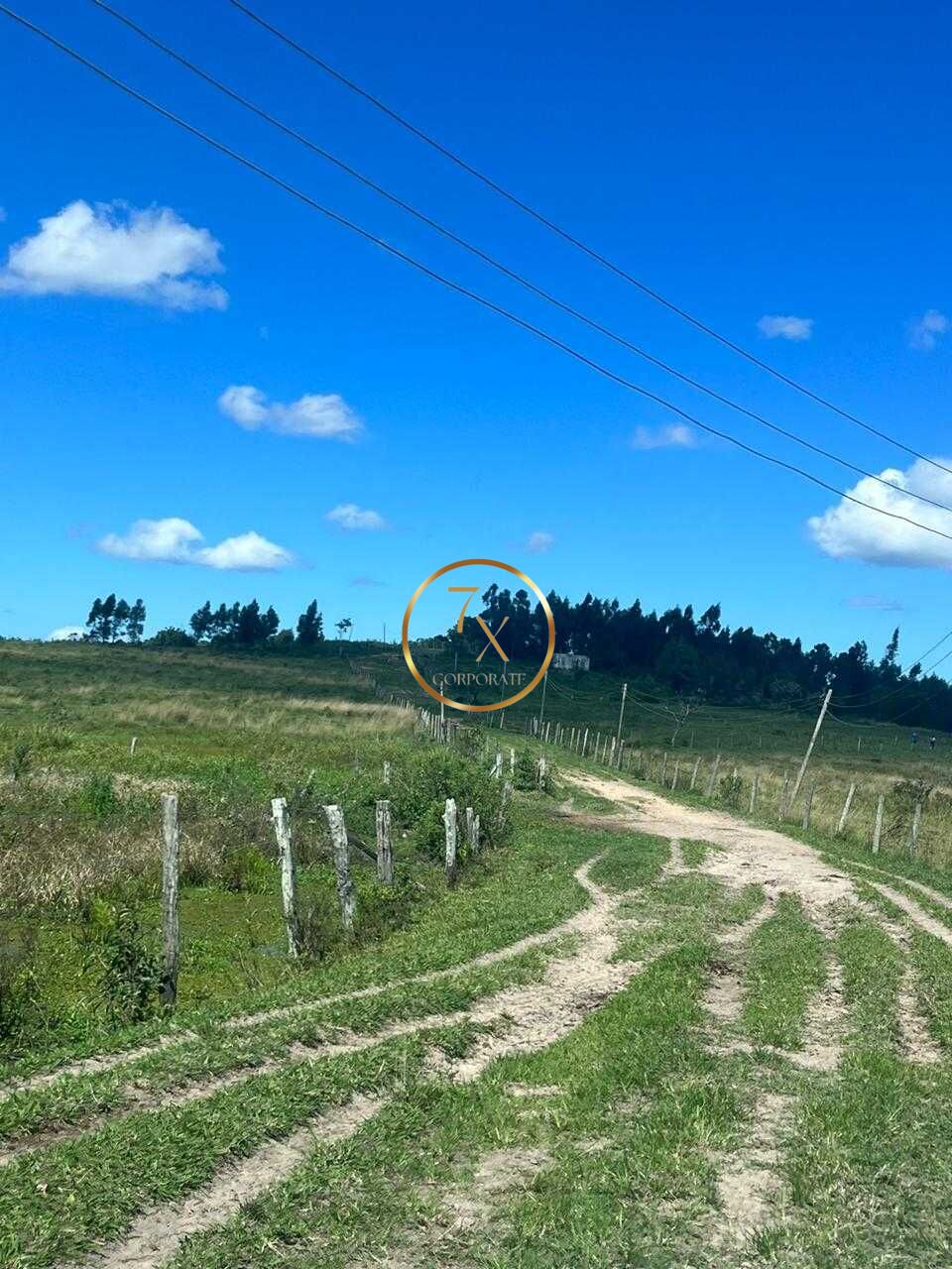 Foto 45