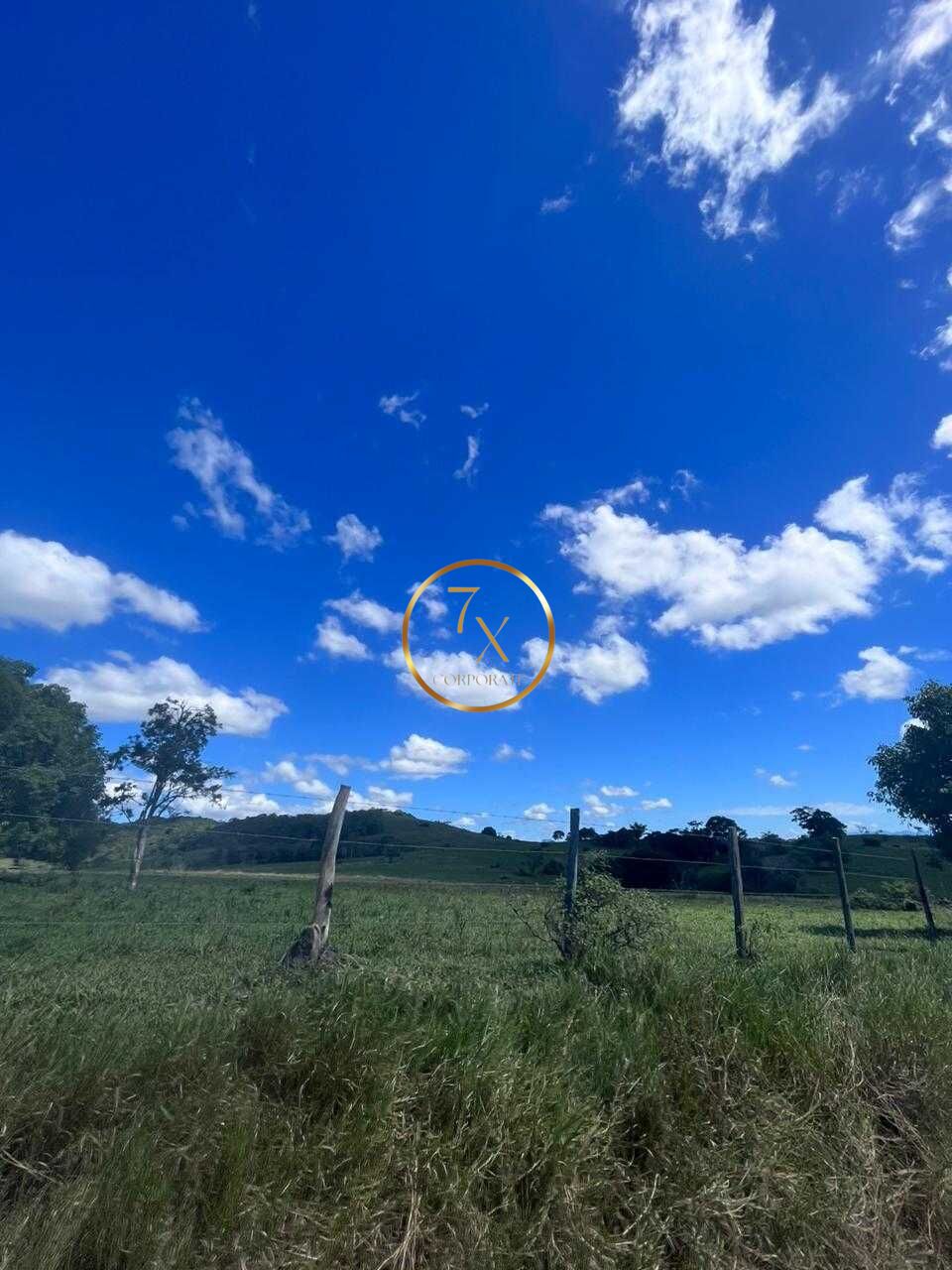 Foto 40