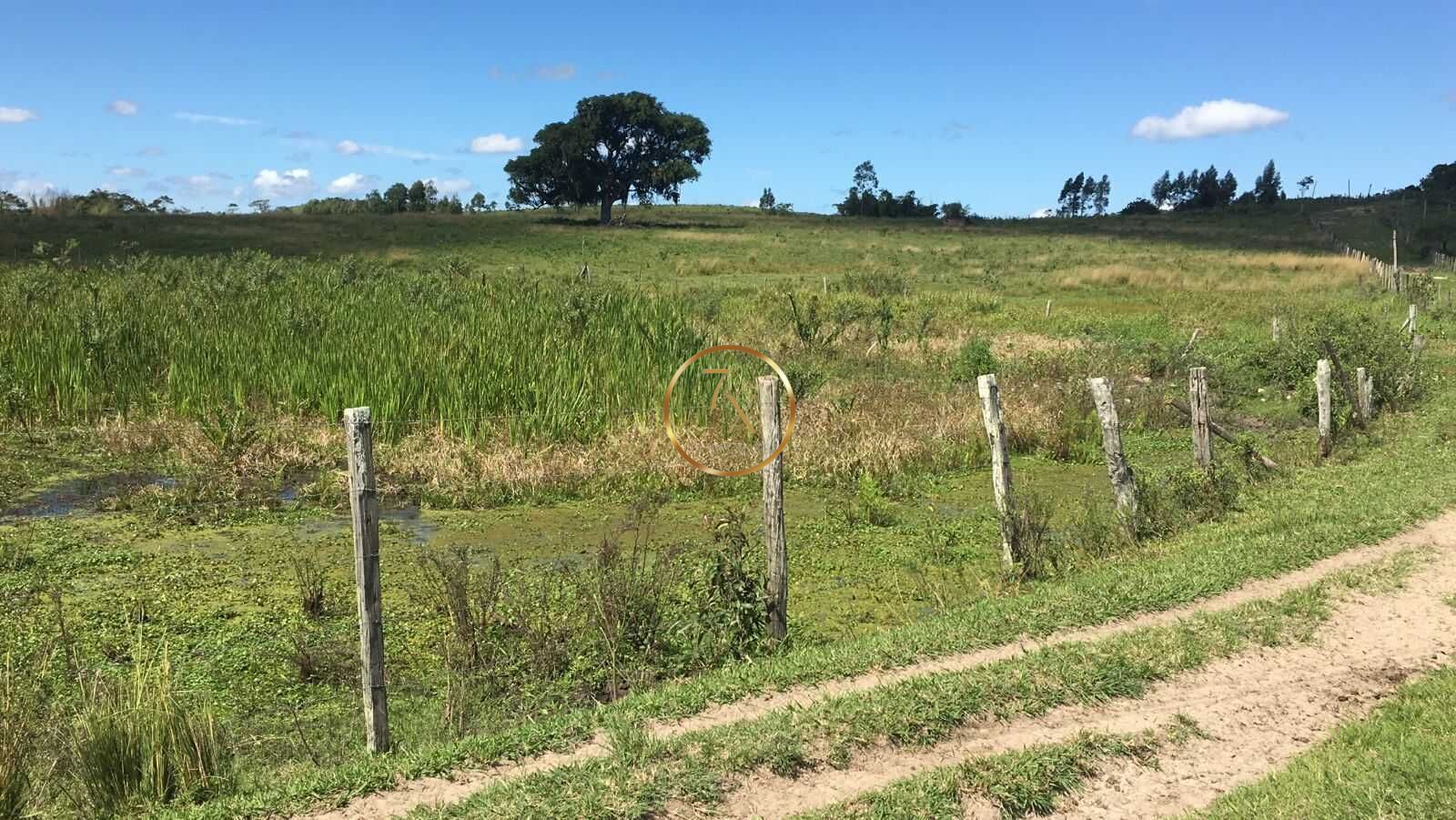 Foto 31