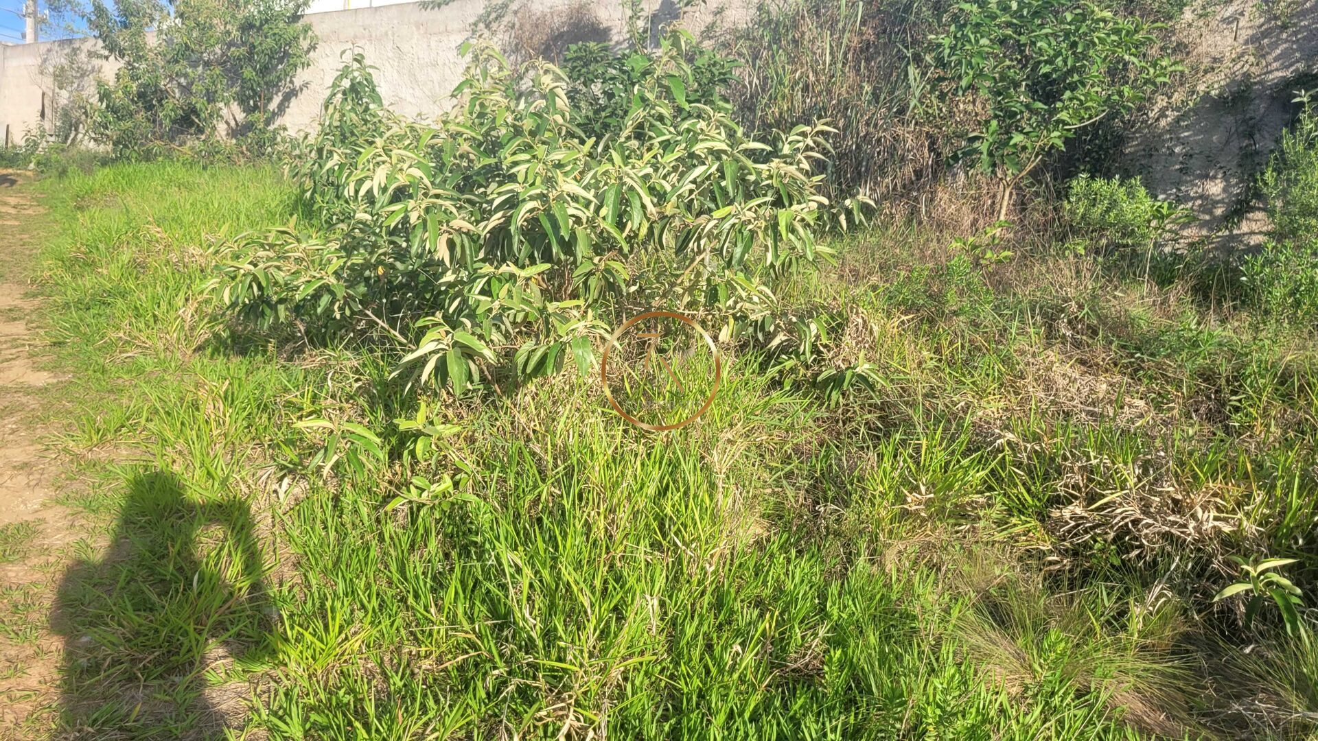 Foto 7