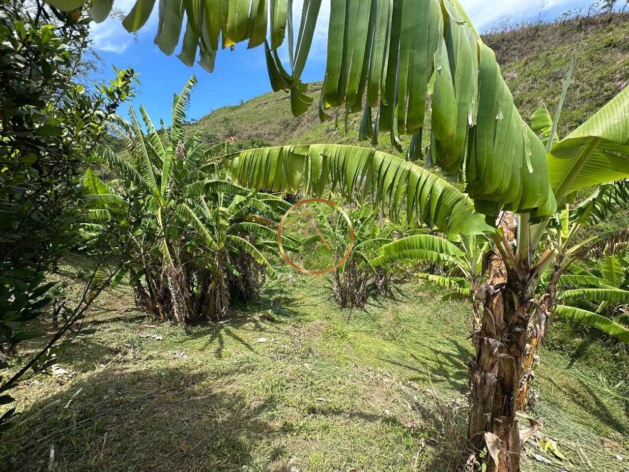 Foto 47