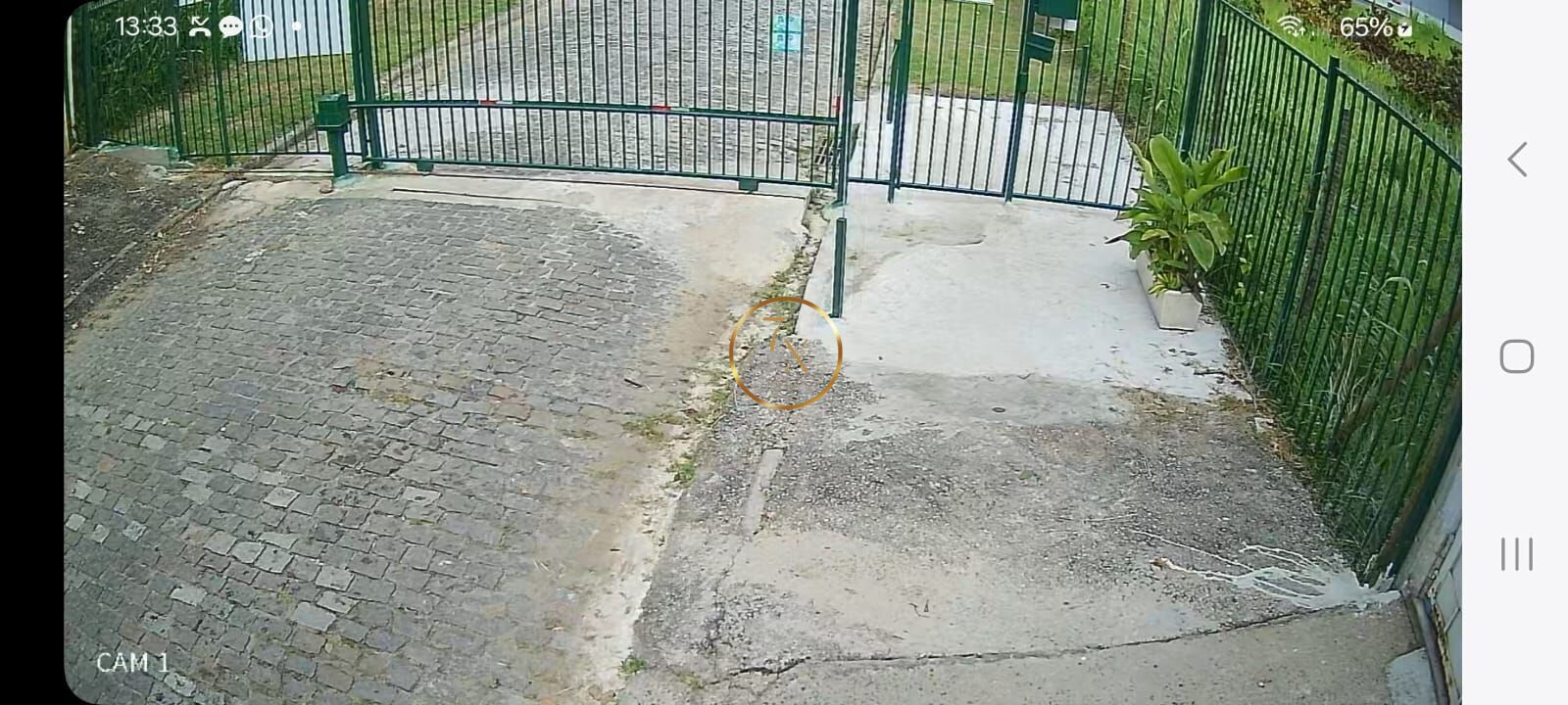 Foto 45