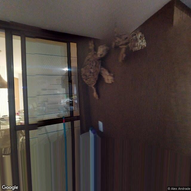 Imagem estática do "Street View" da localização