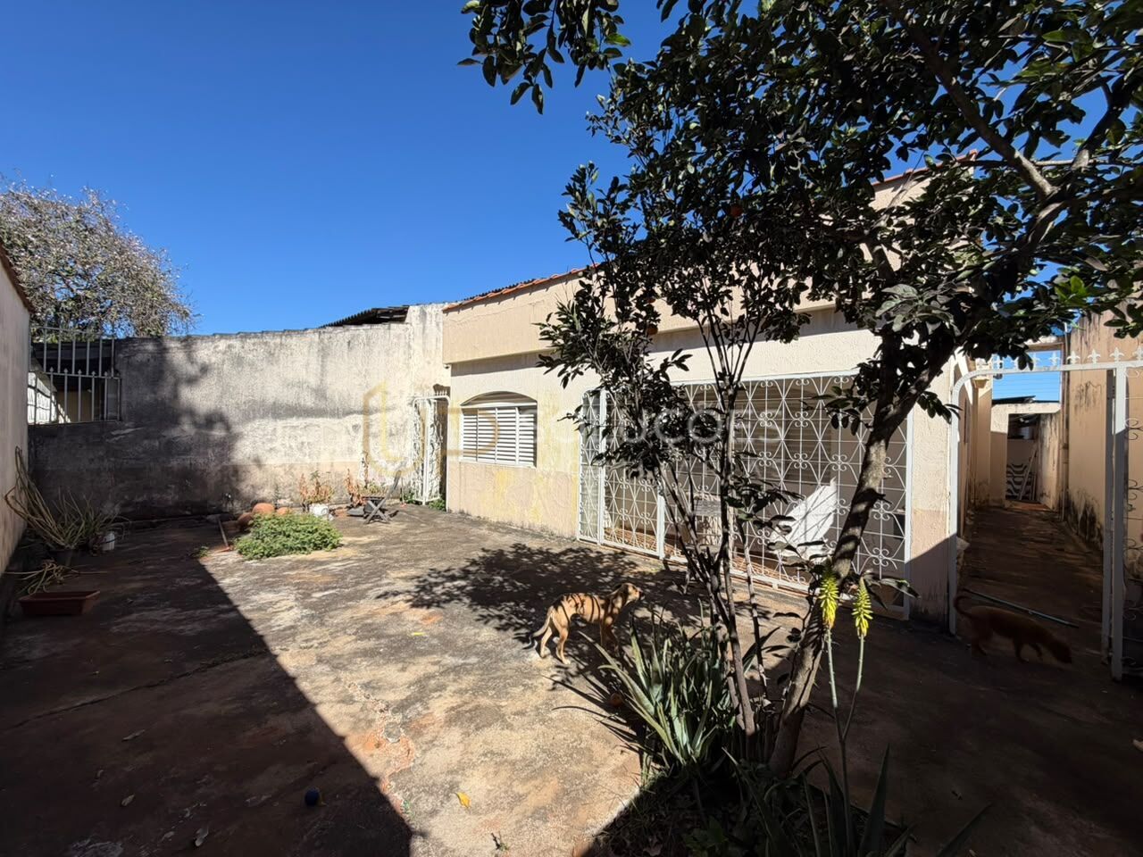 Casa, 3 quartos, 208 m² - Foto 14