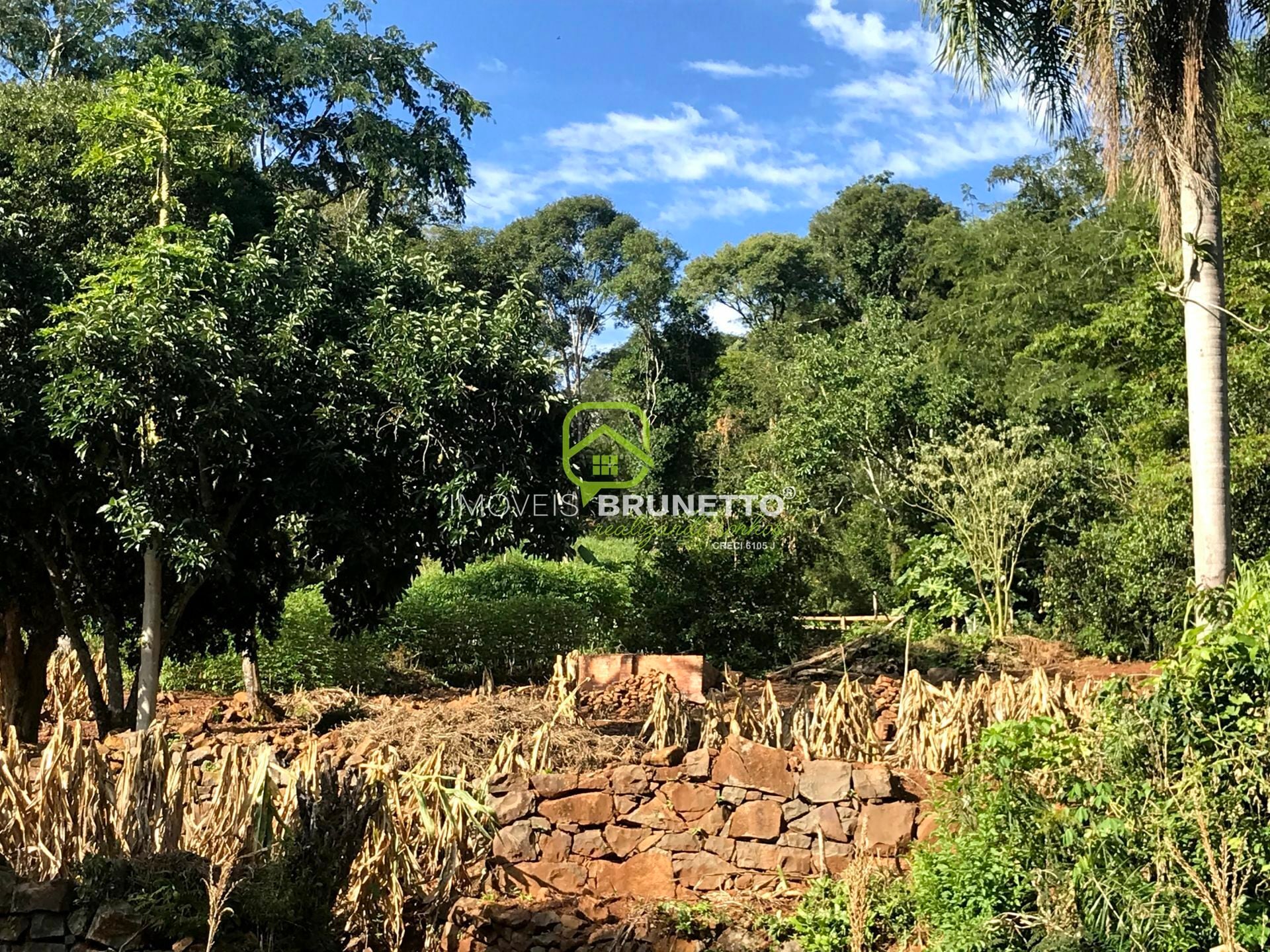Imagem principal do imóvel