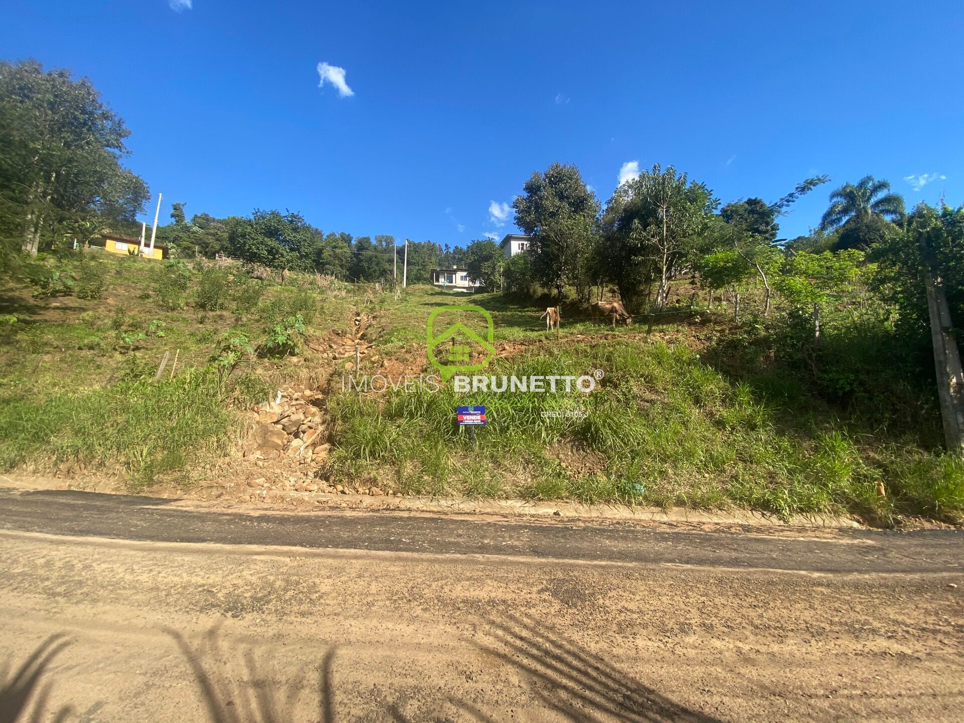 Imagem principal do imóvel