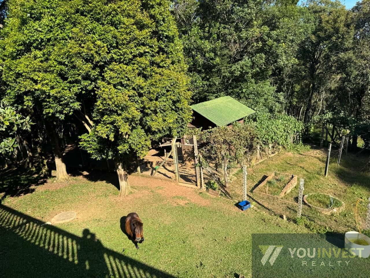 Sítio, 4 quartos, 3 hectares - Foto 11