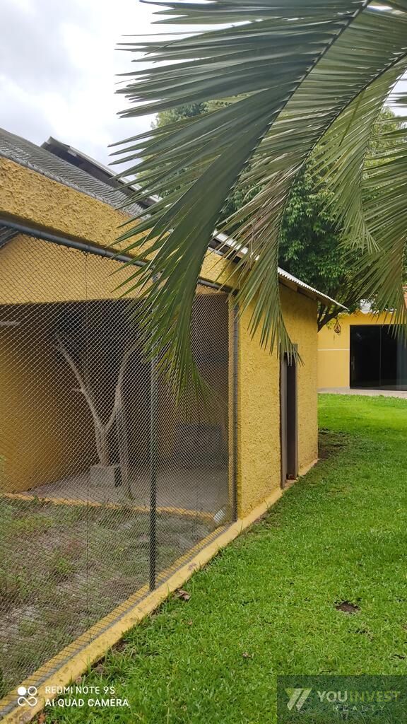 Sítio, 4 quartos, 3 hectares - Foto 10